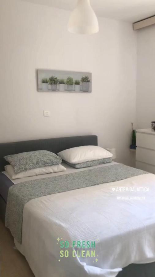 Marina Apartment أرتيميدا المظهر الخارجي الصورة